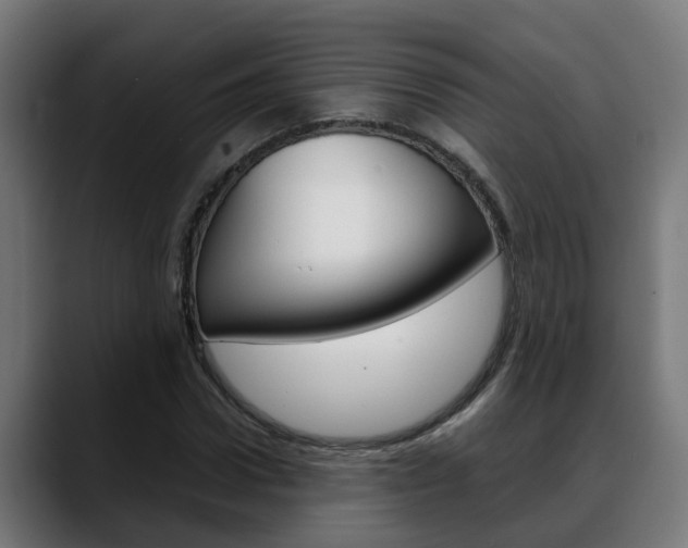 X0000088640922200705250915