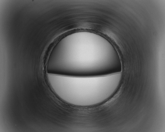 X0000088640923200705250915
