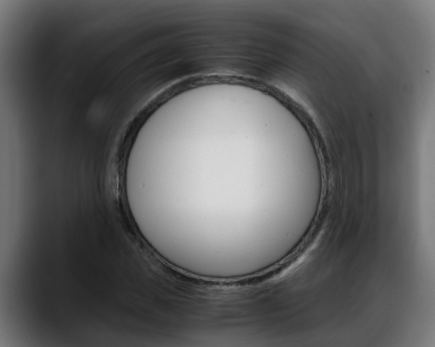 X0000088640925200705250915
