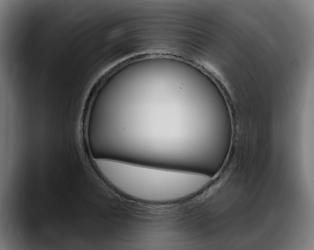 X0000088640928200705250915