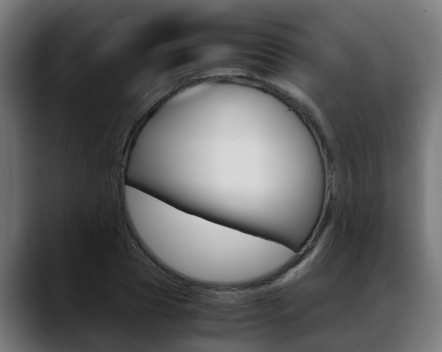X0000088640929200705250915