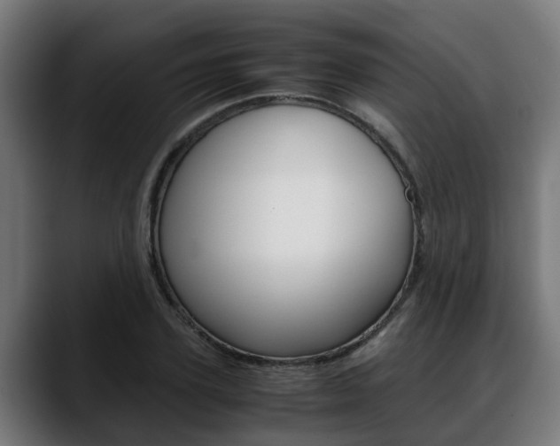 X0000088640931200705250915