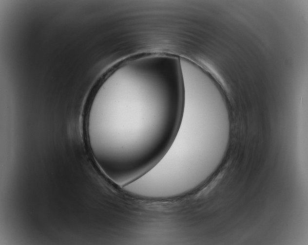 X0000088640932200705250915