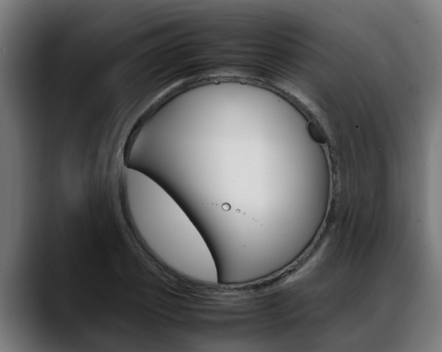 X0000088640933200705250916
