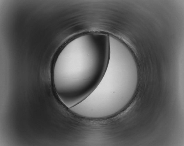 X0000088640934200705250916