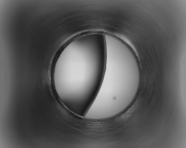 X0000088640935200705250916