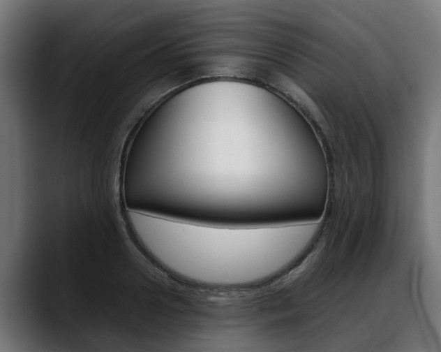 X0000088640938200705250916