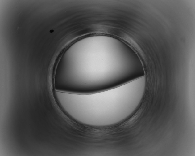 X0000088640939200705250916