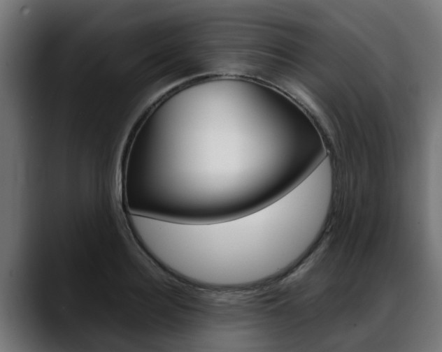 X0000088640940200705250916
