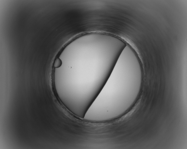 X0000088640941200705250916