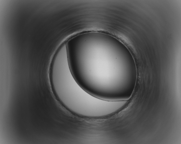 X0000088640942200705250916