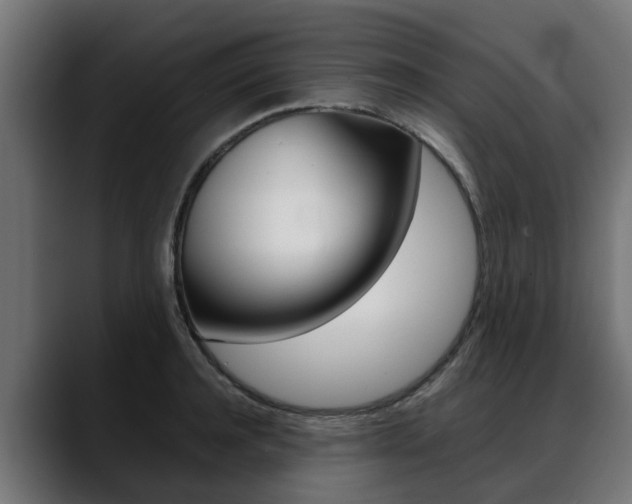 X0000088640944200705250916