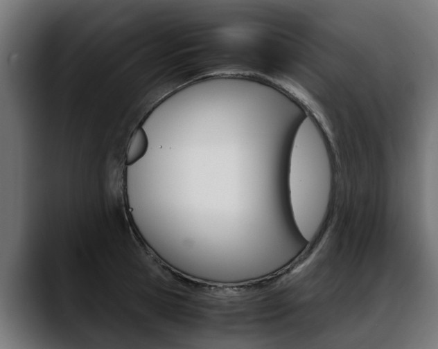 X0000088640945200705250916