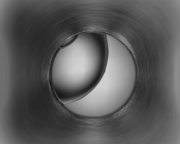 X0000088640946200705250916