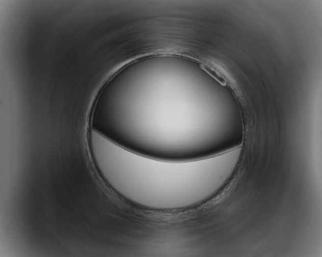 X0000088640948200705250916