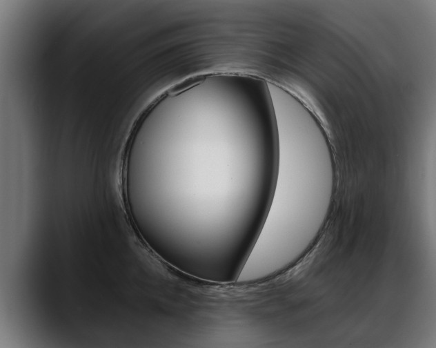 X0000088640952200705250916