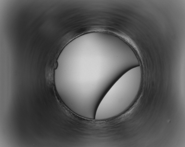 X0000088640953200705250916