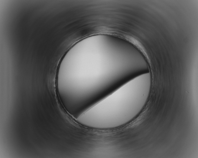 X0000088640954200705250916