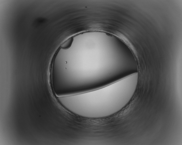 X0000088640955200705250916