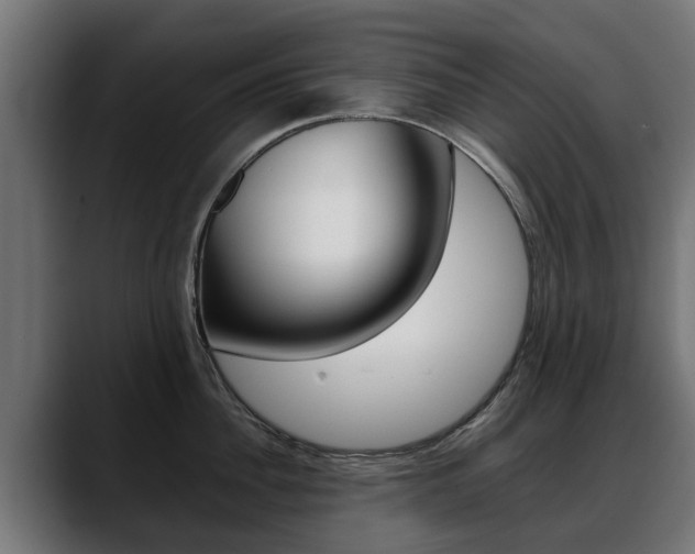 X0000088640956200705250916