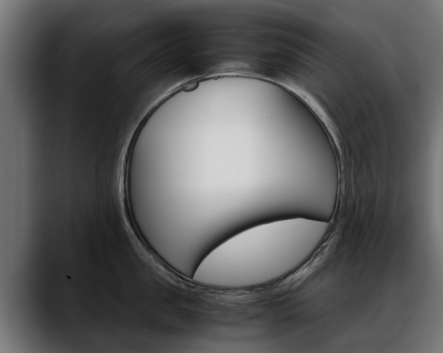 X0000088640957200705250916