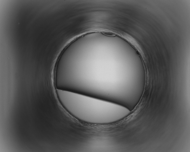 X0000088640958200705250916