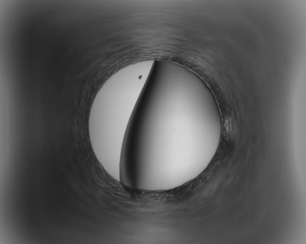 X0000088640963200705250915