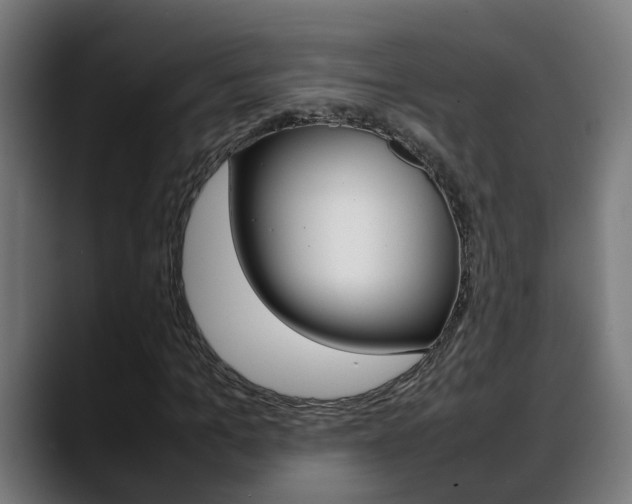 X0000088640965200705250915
