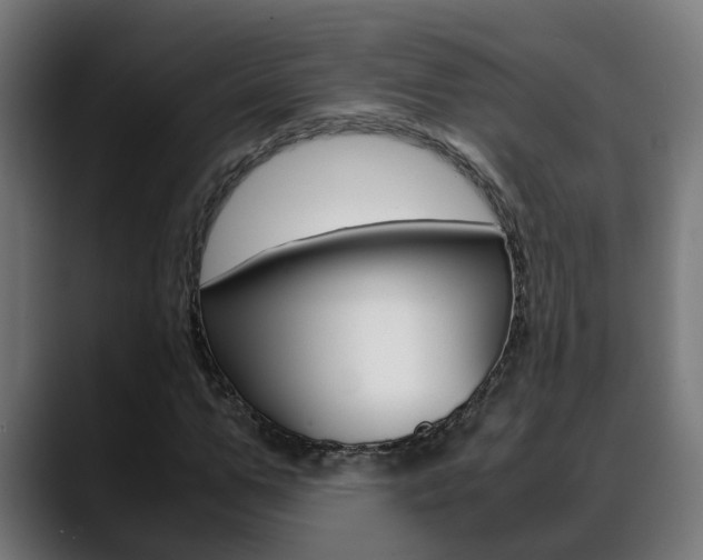 X0000088640967200705250915