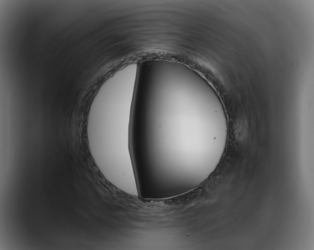X0000088640968200705250915