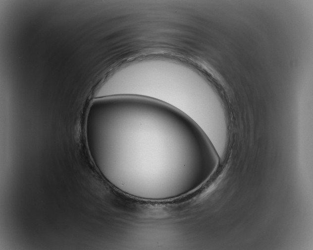X0000088640969200705250915