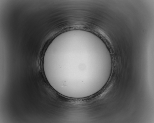 X0000088640970200705250915