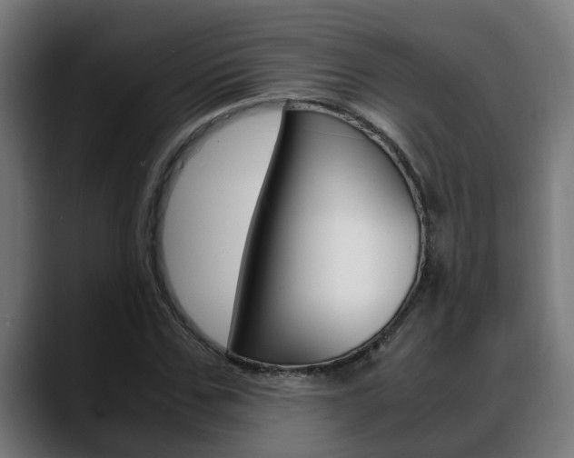X0000088640971200705250915