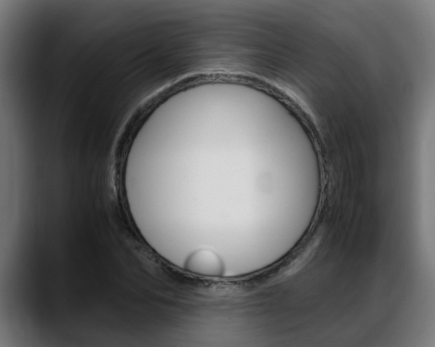 X0000088640974200705250915