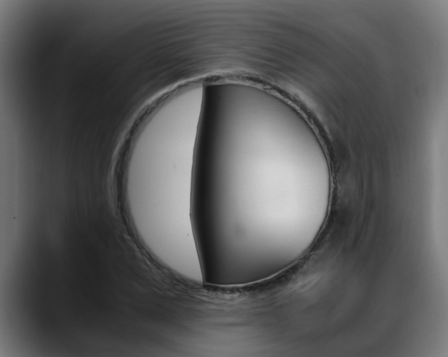 X0000088640975200705250915