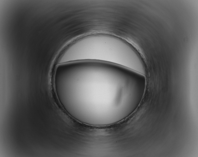X0000088640976200705250915