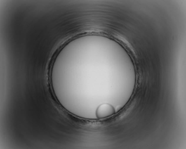 X0000088640978200705250915