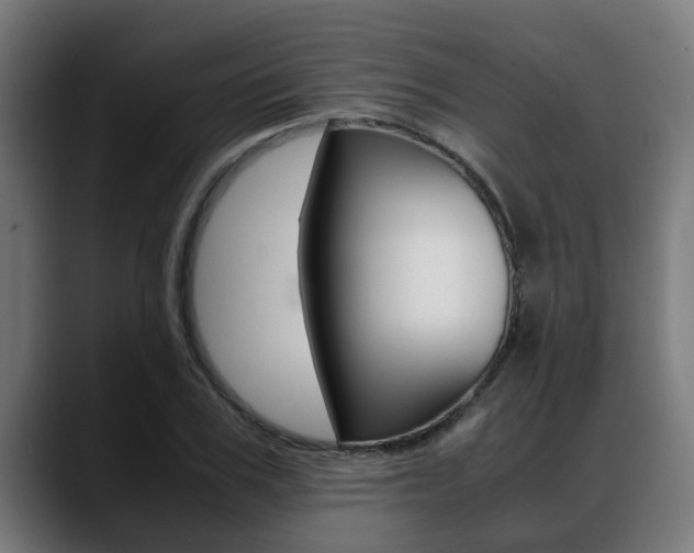 X0000088640979200705250915