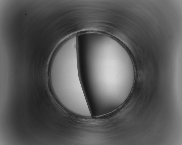 X0000088640980200705250915