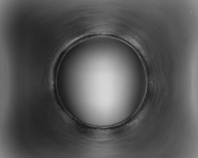 X0000088640981200705250915