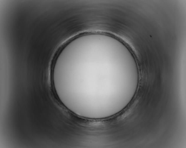 X0000088640982200705250915