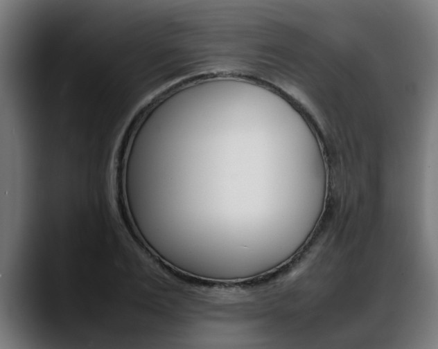 X0000088640983200705250915