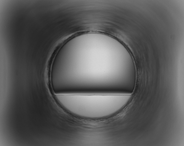 X0000088640987200705250915