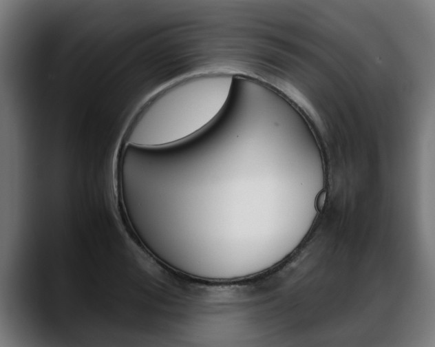 X0000088640988200705250915