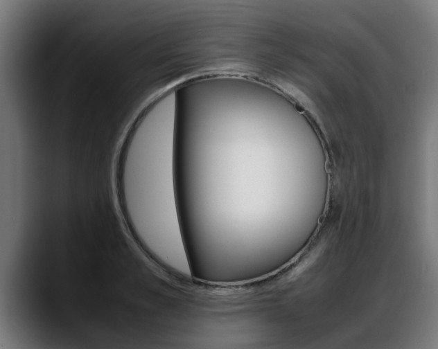 X0000088640989200705250915