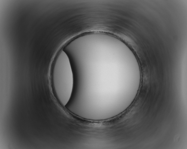 X0000088640990200705250915