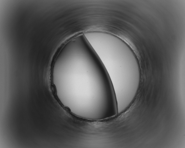 X0000088640992200705250915