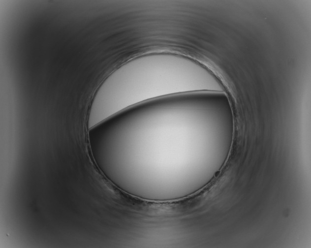 X0000088640993200705250915