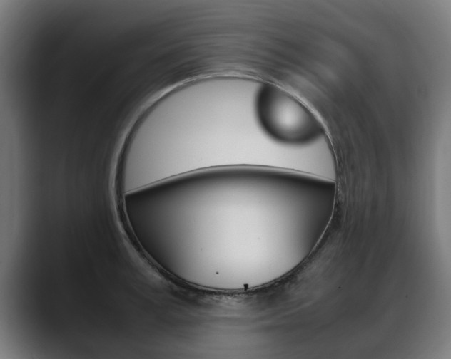 X0000088640995200705250915