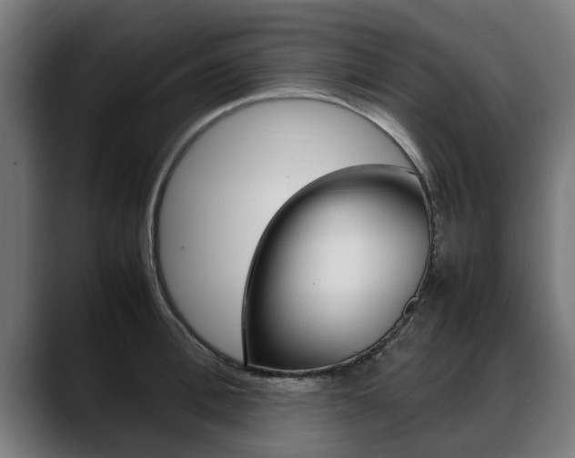 X0000088640996200705250915
